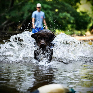 Meet your Posher, Aiden